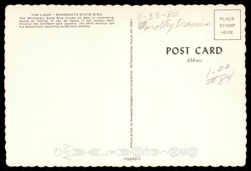 The Loon - Minnesota State Bird