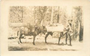 c1910 Back Country Outdoor Western Life Pack Donkeys RPPC Real Photo