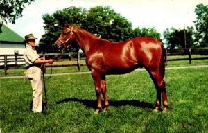 Kentucky Lexington Keeneland Race Course Yearling Ready For Sale