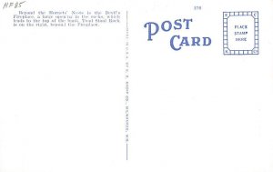 Toad Stools  Wisconsin River Dells WI 