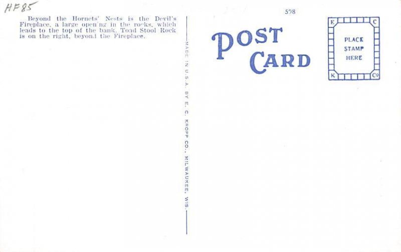 Toad Stools  Wisconsin River Dells WI 