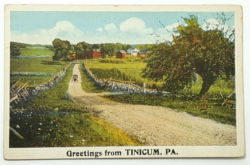 Tinicum  PA, c1900s Street View, Homes, Horse Driven, Old Vintage Postcard A37