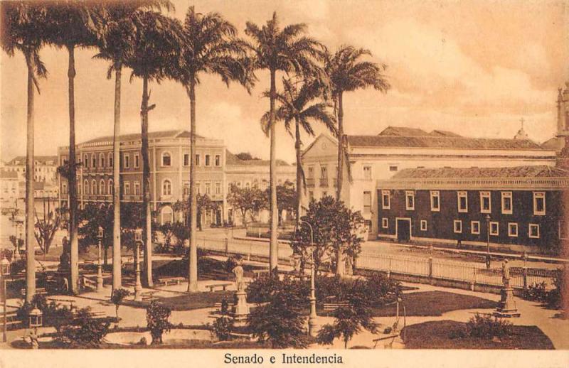 Brazil panoramic view Senado and Intendencia antique pc Z23941