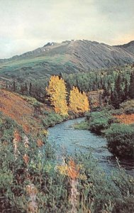 THE FALL SEASON ON KENAI PENINSULA ALASKA POSTCARD (c. 1950s)