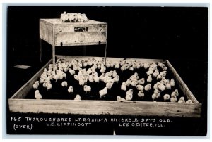 c1910's Egg Chicks Old Trusty Encubator Advertising RPPC Photo Antique Postcard