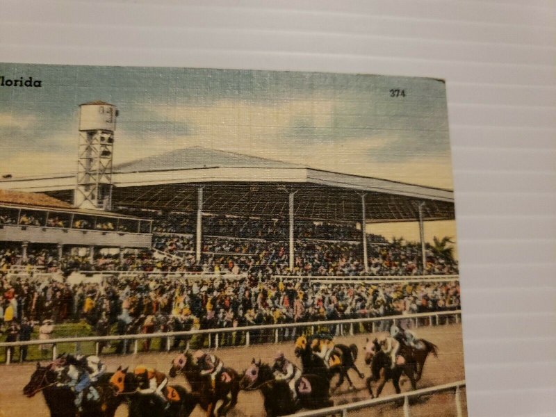 Vintage Postcard Tropical Park Gables Horse Racing Association Miami Florida 472