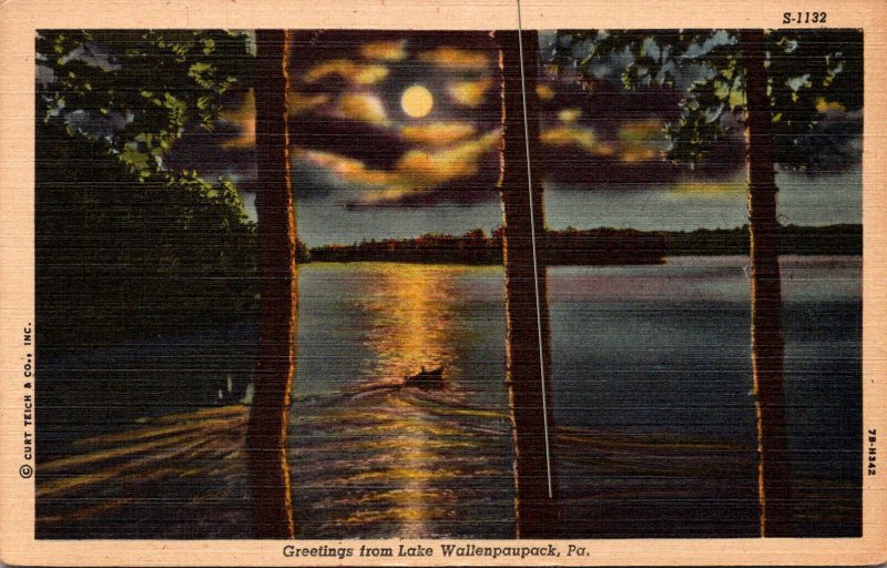 Pennsylvania Greetings From Lake Wallenpaupack 1952 Curteich