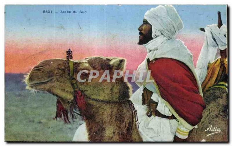 Old Postcard Algeria Arabic South Camel Camel