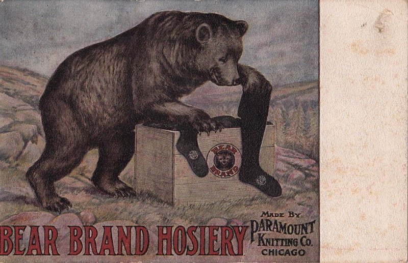 Advertising Postcard Bear Brand Hosiery Paramount Knitting Co Chicago IL