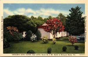 Vtg Hilton Village VA Crigler's Auto Court near Newport News 1940s Postcard