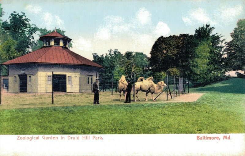 USA Maryland Baltimore Zoological Garden in Druid Hill Park 04.24