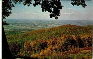 POSTCARD SCENE Uniontown Pennsylvania PA AM9109