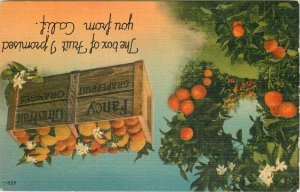 California Farm Agriculture Citrus Booster Gardner Thompson Postcard 22-684