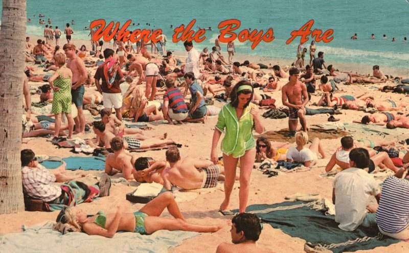 Vintage Postcard 1969 Beach Bathing Scene Sun Bathing Where The Boys Are 