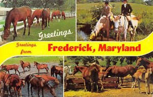 Greetings from Frederick Greetings from, Maryland MD