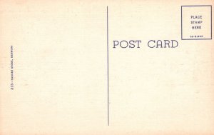 Vintage Postcard Bougainvillea Blossoms Bermuda's Highways Yankee Store