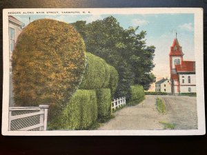 Vintage Postcard 1915-1930 Hedges Along Main Street Yarmouth Nova Scotia Canada 