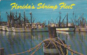 The Shrimp Fleet Florida