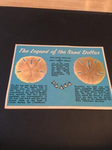 Vtg Postcard: The Legend Of The Sand Dollar Or Holy Ghost Shell