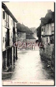 Old Postcard Salies de Bearn edges of Saleys