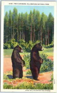 Postcard - Twin Club Bears, Yellowstone National Park, Wyoming, USA