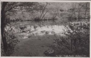 The Weir Dartmoor Angle Bridge Vintage Real Photo Postcard