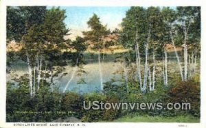 Birch Lined Shore - Lake Sunapee, New Hampshire NH  