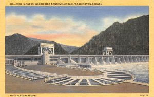 Fish Ladders, North Side Bonneville Dam Portland, Oregon OR