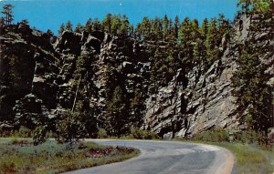 Scenic Curve on US 16  Black Hills SD 