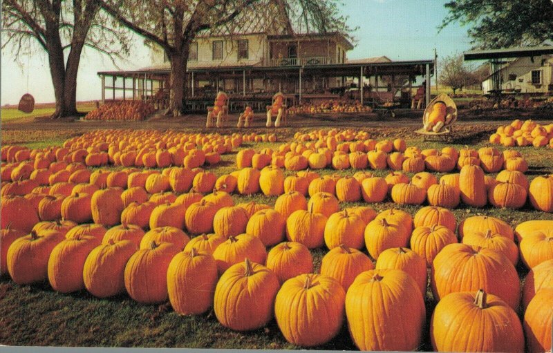 USA Pennsylvania Dutch Farm Market Heart of Dutchland 03.76