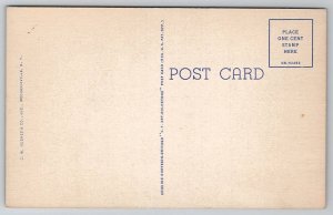 Large Letter Greetings From Albany NY Postcard G28