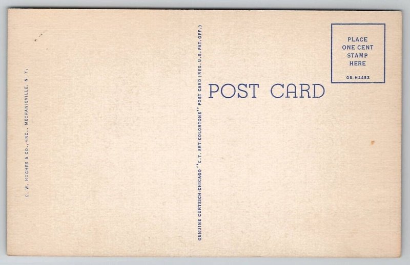 Large Letter Greetings From Albany NY Postcard G28