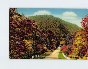 Postcard Greetings From Hankins, New York