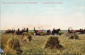 Harvesting Scenes in West Reaping Canada Canadian Pacific Railway Postcard G70