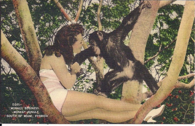 Sexy Woman w Chimpanzee, Monkey Jungle, Miami FL, 1944 Linen, Swimsuit, Legs