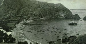 1905 Bird's Eye View Santa Catalina Island, CA Vintage Postcard F77