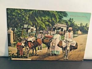 Postcard Greetings from Jamaica  Going Home from Market     Y1