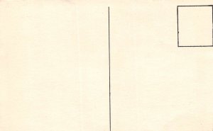 Aurora Illinois Metzger's Super DeLuxe Cabins, B/W Photo Print Vintage PC U11349