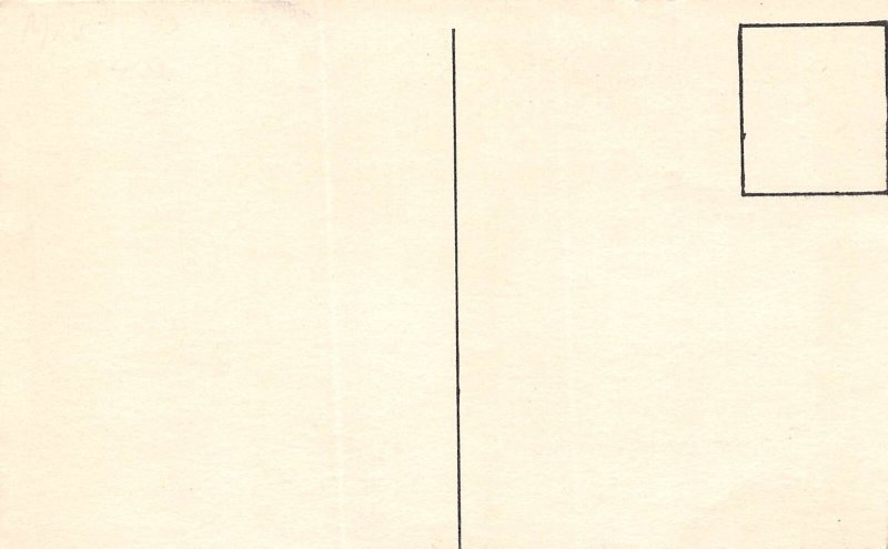 Aurora Illinois Metzger's Super DeLuxe Cabins, B/W Photo Print Vintage PC U11349