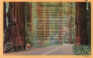 10644 The Redwoods Poem Postcard 1954