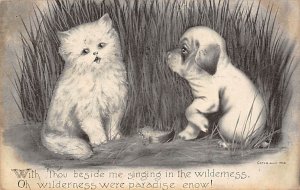 Kitten and puppy in the grass Dog 1910 