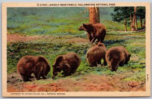 Vtg Wyoming WY Grizzly Bear Family Yellowstone National Park 1930s View Postcard