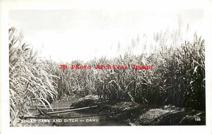 HI, Oahu Hawaii, RPPC, Sugar Cane, Farming Scene, Ditch, Photo No 136