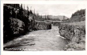 Miles Canyon and Bridge Yukon Canada Gowen Sutton Co. Real Photo Postcard