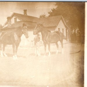 c1910s Man w/ his Horses in Front of House RPPC Amateur Real Photo Postcard A162