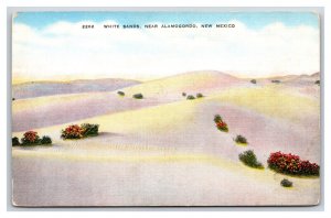 White Sands Near Alamodoro New Mexico NM UNP Linen Postcard R15