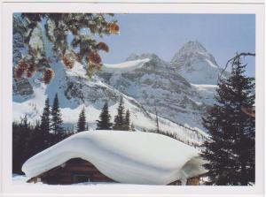 SNOW COVERED MT. ASSINIBOINE ALBERTA