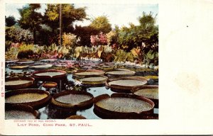 Minnesota St Paul Como Park Tropical Lily Pond