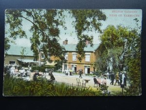 Norfolk Great Yarmouth 2 x BELTON GARDENS c1908 Postcards