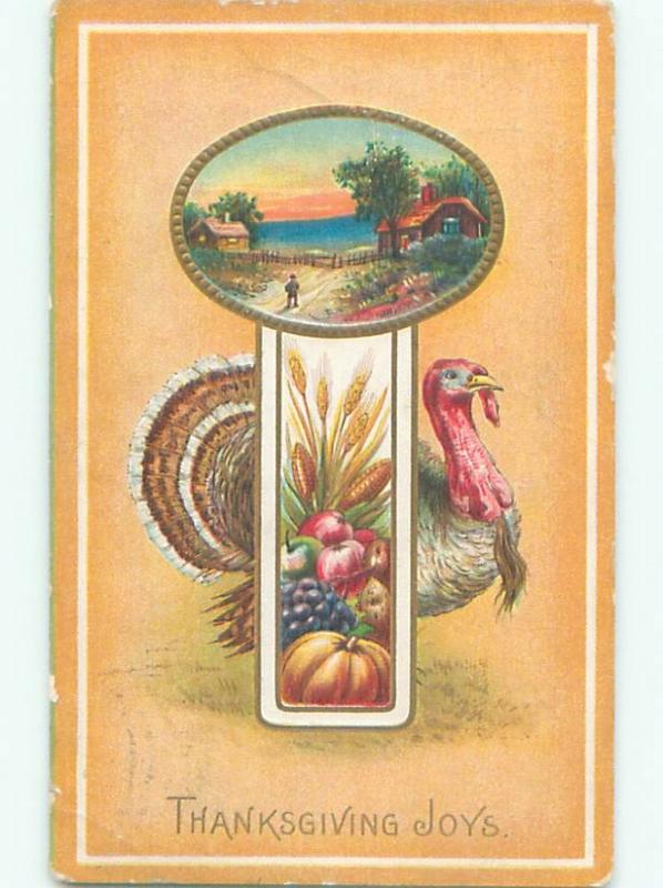 Divided-Back THANKSGIVING SCENE Great Postcard AA0693